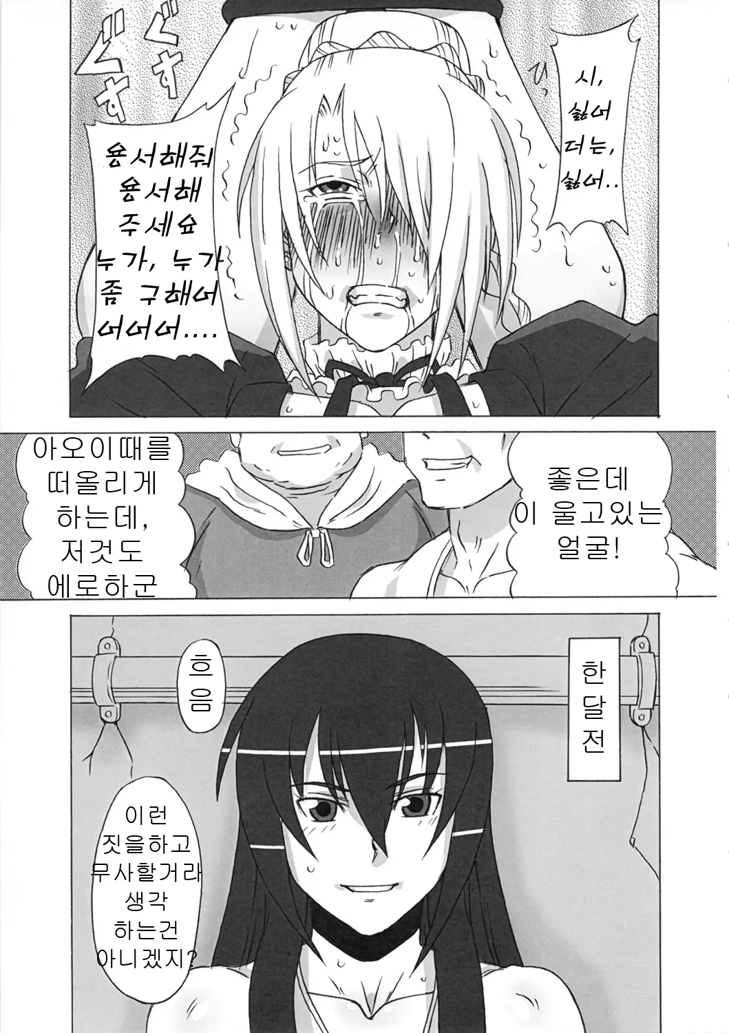 Hilda-san ni Hidoi Koto wo Shitemita