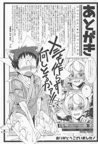 (C91) [YAMADA AIR BASE (Zawa)] Oshioki ScyRan (Touhou Project)