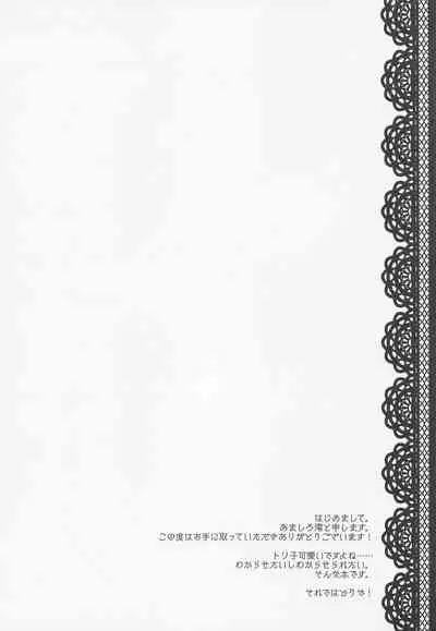 Yousei Kishi Tristan o Kondo koso Wakaraseru Hon