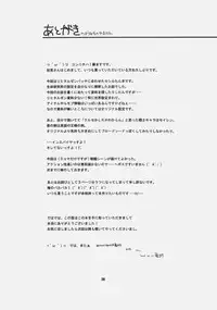 (SC32) [Fujiya Honten (Thomas)] CHRONICLE (Ragnarok Online)