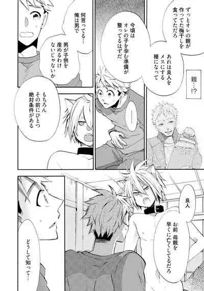 Wolves and Erotic Things