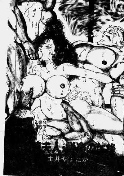 Hatsujou Fujin Etsuraku no Gogo