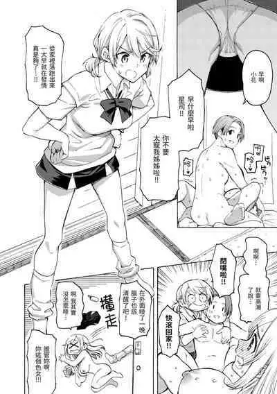 Hana flowers | 花 flowers