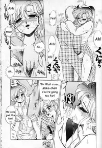 [Tenny Le Tai] [Sailor Moon] Silky Moon (one translated story)