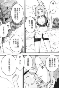 [Kishimoto Saisi] naruto ninja biography vol.09 (naruto) [chinese]