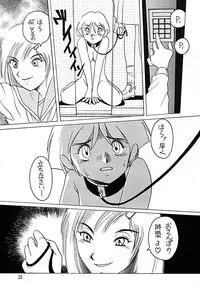 [Studio309 (Horimoto Akira) Dynamic Lolita Library CE2.0　