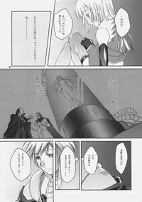 (SC32) [Fujiya Honten (Thomas)] CHRONICLE (Ragnarok Online)