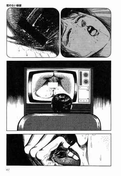 Love Letter from Kanata