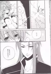 (SPARK4) [Azuma Doujou (Azuma Hirota)] chocolate honey (Tales of the Abyss)