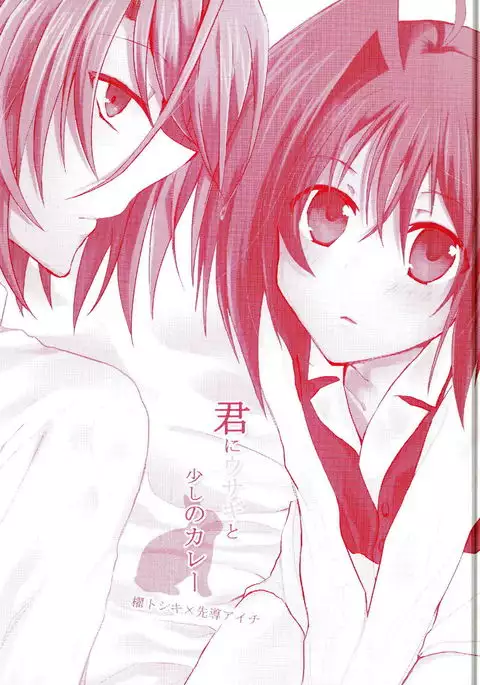 Kimi ni Usagi to Sukoshi no Curry