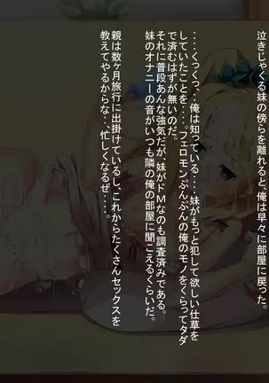 Fueromon Yakude Tairyonakadashi ~ Renzoku Tanetsuke Shasei De Seiekibote ~