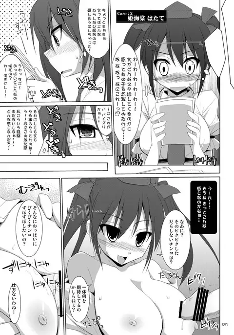 Gensokyo Chichi Zukan Soushuuhen 2