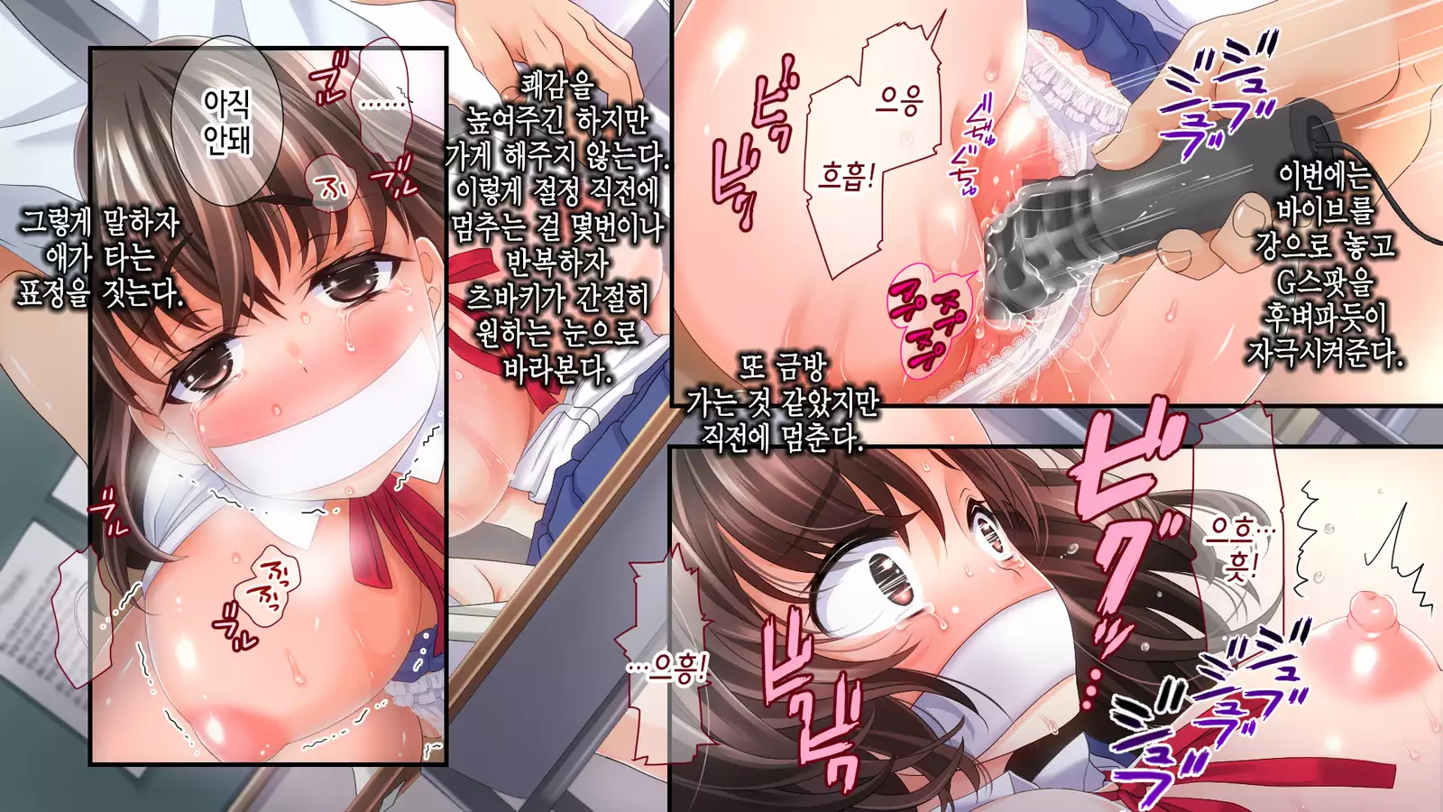 Ane no Wasuregatami no Mei o Ore wa Okashita ~Kouhen~