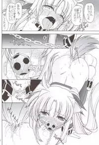 (C83) [EINSATZ GRUPPE (Charlie Nishinaka)] DOG FATE (Mahou Shoujo Lyrical Nanoha)