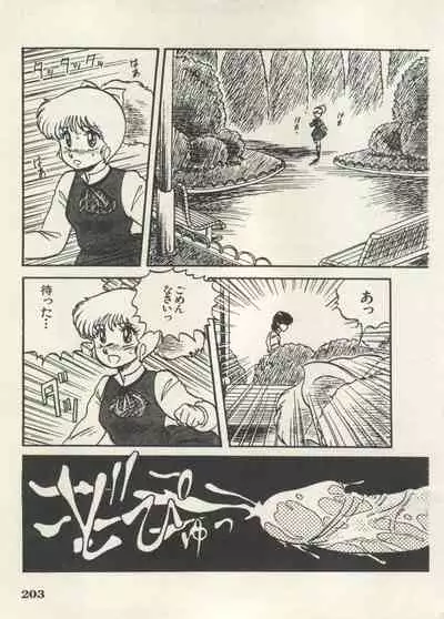 Bishoujo Shoukougun 6