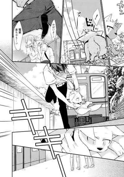 Wolves and Erotic Things