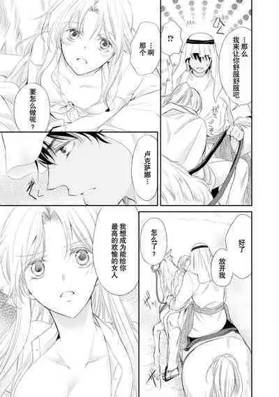 sabaku no ōji to kaizoku hime | 沙漠王子与海盗公主