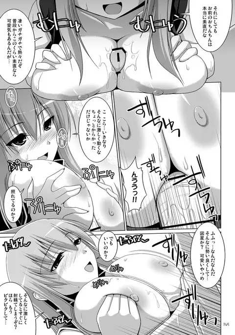 Gensokyo Chichi Zukan Soushuuhen 2