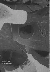 (C70) [Anime Brothers (Itsuki Kousuke)] PixelitA 06