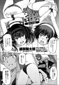 [Sena Youtarou] Ane wa Shota o Suki ni Naru Bangaihen 1-2