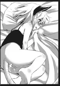 Tanuki Yamabiko Juuban Shoubu | Tanuki vs. Yamabiko, 10 rounds match