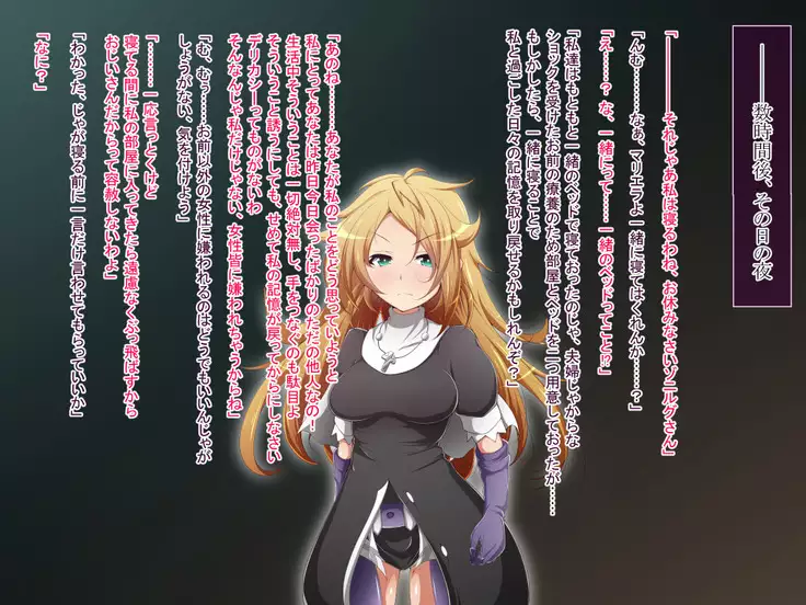 Hero Rengou Sennou Kanraku no Wana ~Battle Sister Hen~