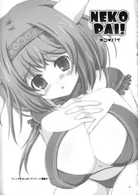 (C72) [AZA+ (Yoshimune)] NEKOPAI! (Final Fantasy XI)