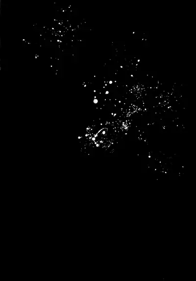 (CCOsaka120) [Kuzuya (Riko)] Ore to Keiyaku Shimasen ka? [English] [mysterymeat3]