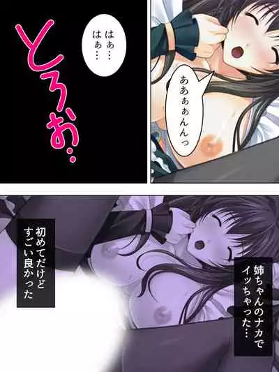 Nee-chan wa Boku no Kokan no Sewagakari ～Konna Seikatsu, Yamerarenai!～