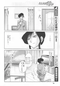 COMIC Men's Young 2006-11