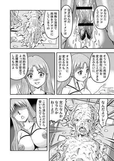 Otokonoko o Kyonyuu Musume ni Shite, Moteasonjao!