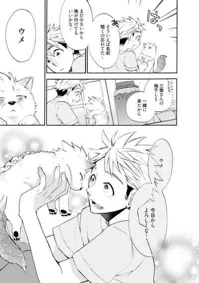 Wolves and Erotic Things