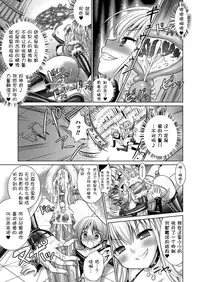 [Rusty Soul, Alto Seneka] Brandish 5 [Chinese] [kanade汉化组]
