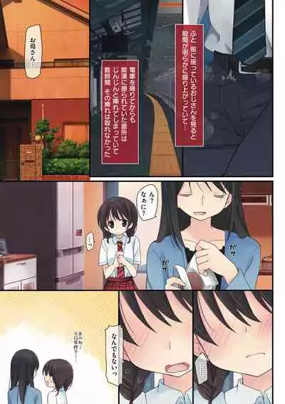 Watashi ga 3 Nenkan sareta Koto.