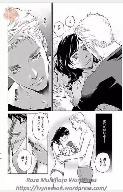 Subete Ai no Shiwaza/愛調教成性俘虜/爱调教成性俘虏/すべて愛のしわざ——もんでんあきこ vol 1-3End (Japanese)