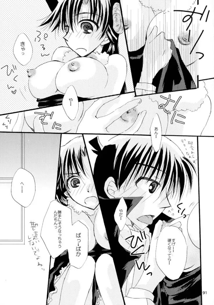 MACARON-CHOCOLAT-DOLCE