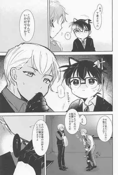 [kankinPACO] Cat night (meitanteikonan)