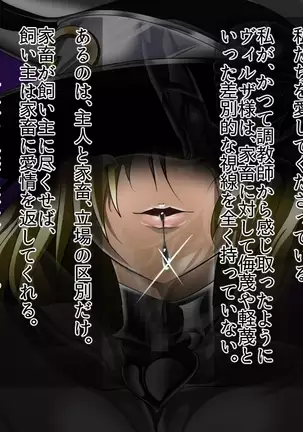 ドミギュラス・レポート