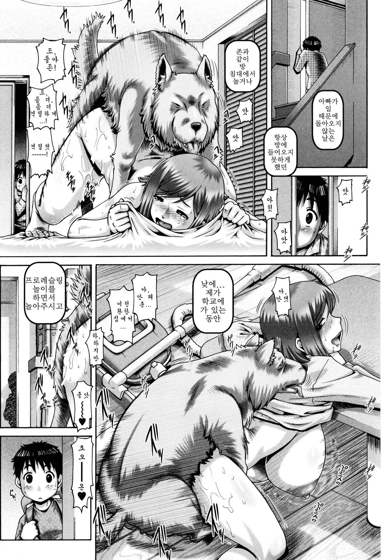 Jyuai Kantsu | 수애간통