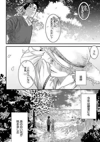 Mure Ochiru Shiroi Hana 3