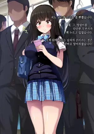 Chikan Taiken Kokuhaku