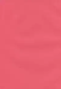 [natuotome] kurobenino rankaku (touhou)