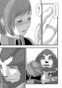 [奈津ミカ]共　有【ラオグリム×コーネリア】 (ファイナルファンタジーXI)