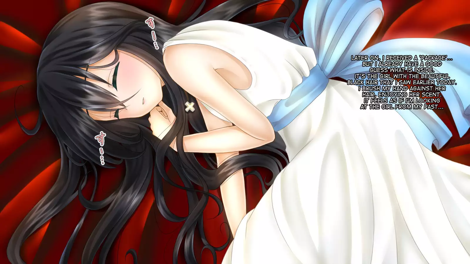 Aru Ryoushu no Nikkichou