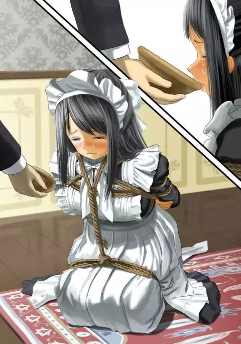 メイデン·ヴォヤージュ