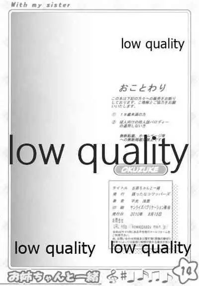 お姉ちゃんといっしょ