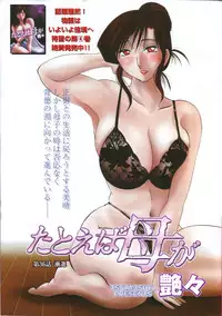 COMIC Men's Young 2006-11