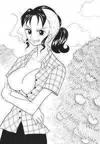[Ginmomodou (Mita Satomi)] Koukai Nisshi DX (One Piece)