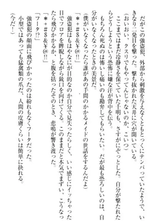 年上メイドの新婚日記