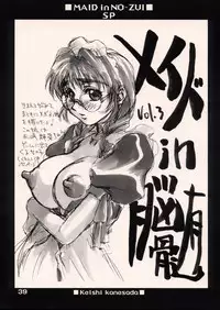 [NO-ZUI (Kanesada Keishi)] Maid in Nouzui SP